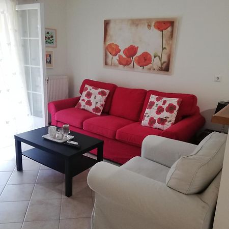Sunny Stay Furnished Apartment In Kanoni Экстерьер фото