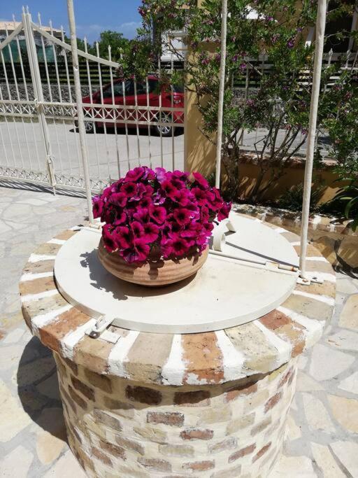Sunny Stay Furnished Apartment In Kanoni Экстерьер фото
