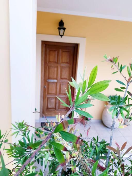 Sunny Stay Furnished Apartment In Kanoni Экстерьер фото
